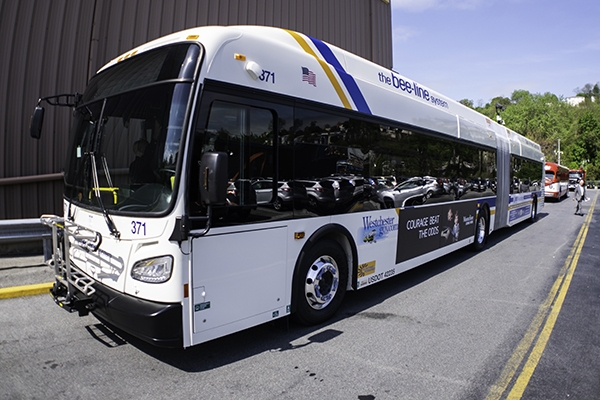 Bee-line bus parked outside of a building